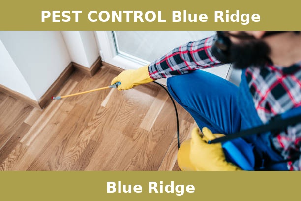 PEST CONTROL Blue Ridge